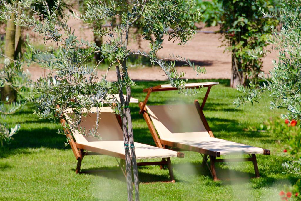 Agriturismo Il Vecchio Imposto Massa Marittima Exterior foto