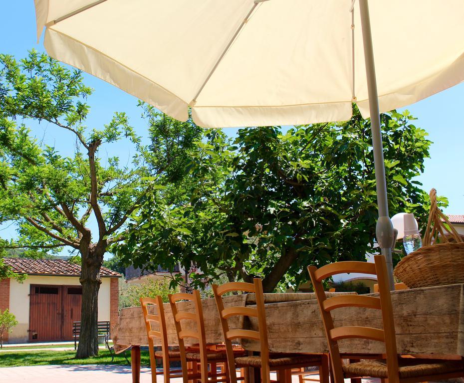 Agriturismo Il Vecchio Imposto Massa Marittima Exterior foto